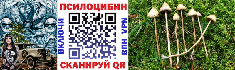 кракен вход  Старица  Галлюциногенные грибы GOLDEN TEACHER  цены наркотик 